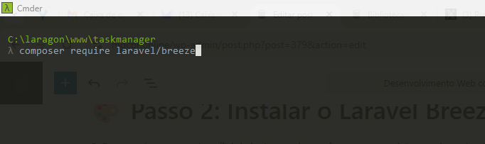 Terminal Laragon - Instalando o Breeze